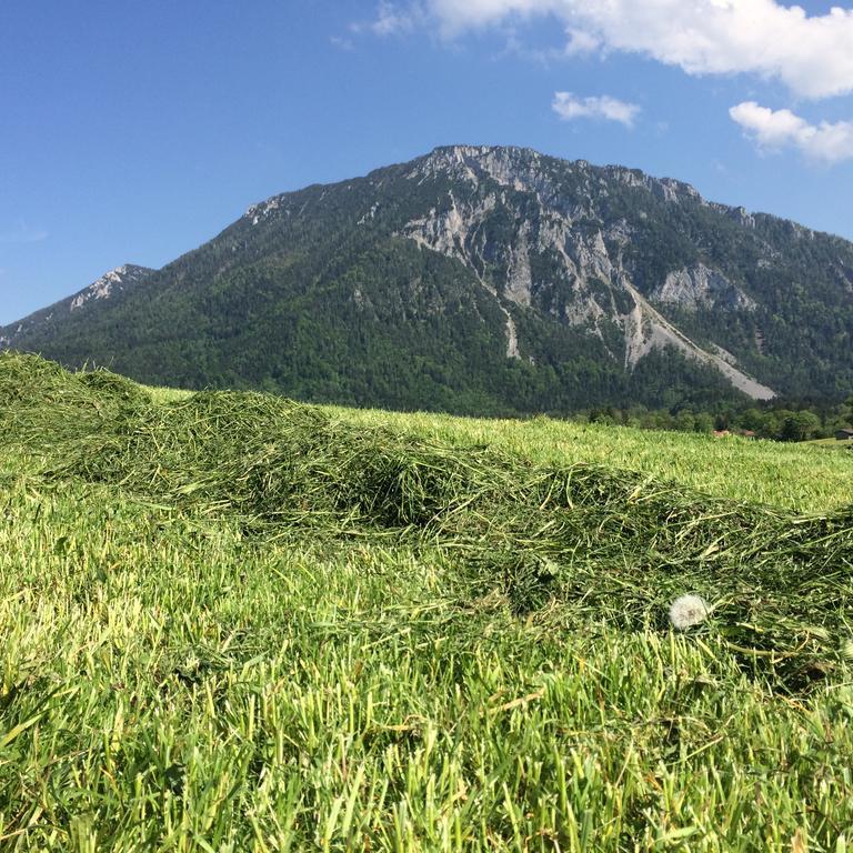 Schifterhof Ruhpolding Villa Екстериор снимка